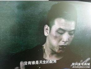 谢文东19集背景音乐,激战正酣，音乐激荡热血篇章